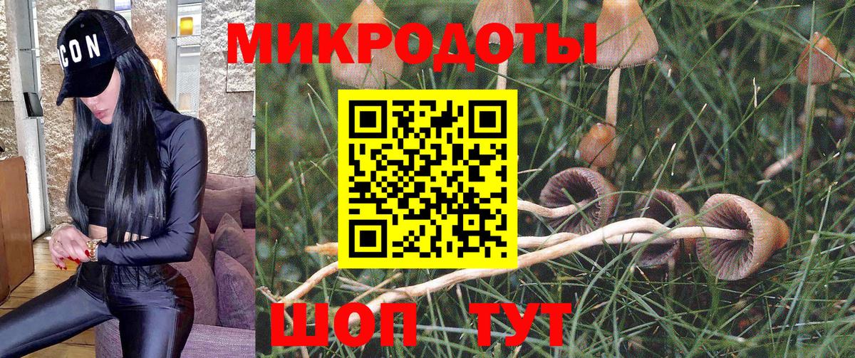 Галлюциногенные грибы Можайск