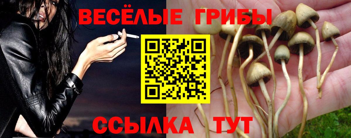 Галлюциногенные грибы ЛСД Можайск