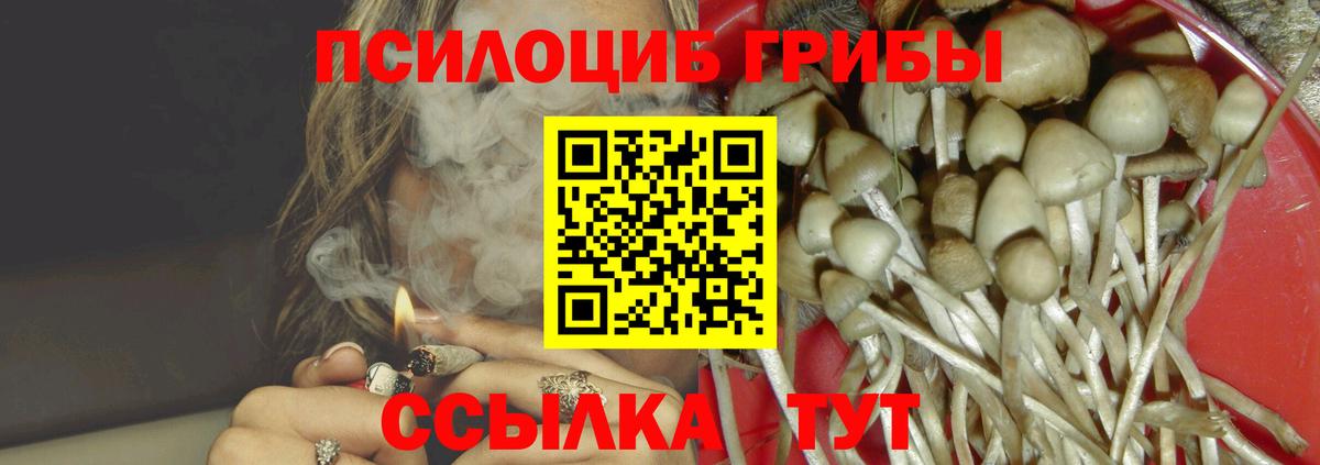 Галлюциногенные грибы GOLDEN TEACHER  Вход с VPN  Можайск  Псилоцибиновые грибы мицелий 